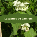 06/4 Lasagnes de Lamiers