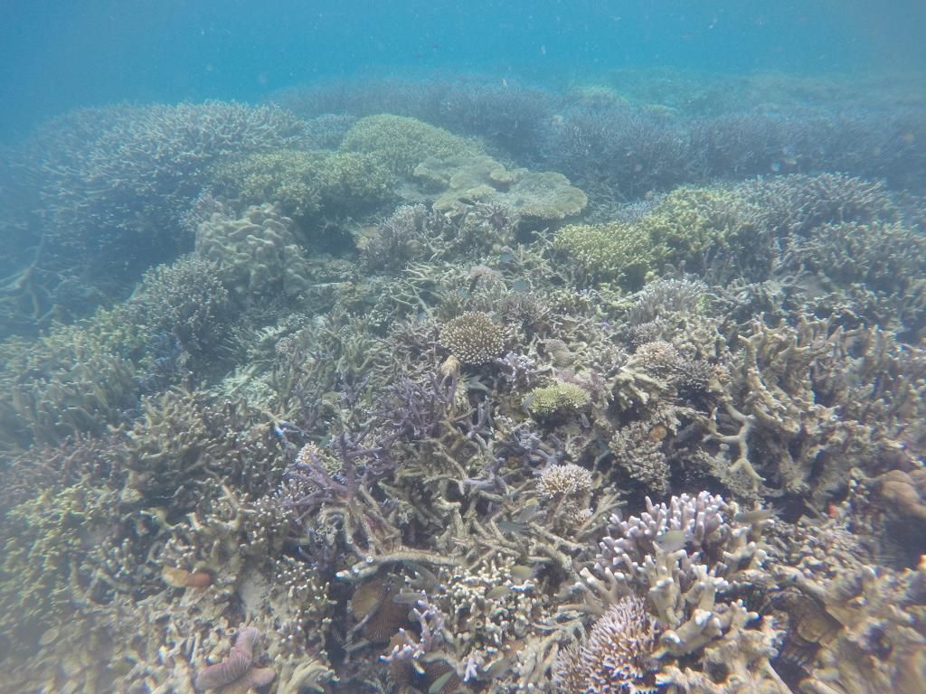 GOPR0919