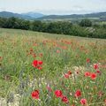 ROUTE BERNARD ... VTT MOSELLE EST ...