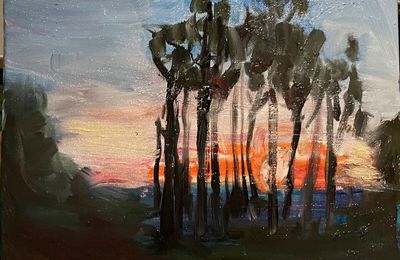 Coucher de Soleil sur le coteau du Layon