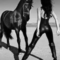 Si le cheval est la plus belle conquête de l'homme, qu'en est-il de la Jument ? du bardot (pas BB) et du hongre ?