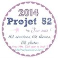 2014-Projet 52-Semaine 1 : Résolutions 