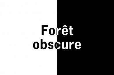 Forêt obscure, Nicole Krauss