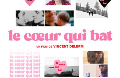 LE COEUR QUI BAT de Vincent Delerm - (pas) pardon les sentiments
