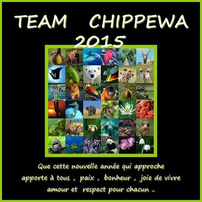 Tous Nos Voeux Pour 2015 Best Wishes 2015