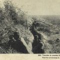 Carte Postale 72e RI Argonne 1915