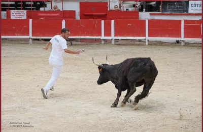 Remoulins TJ