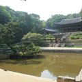 Le jardin secret, ou Huwon (후원) de Changdeokgung