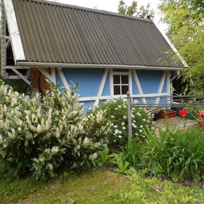 le jardin, la piscine