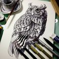 Ornate Illustrations of Animals by Ben Kwok
