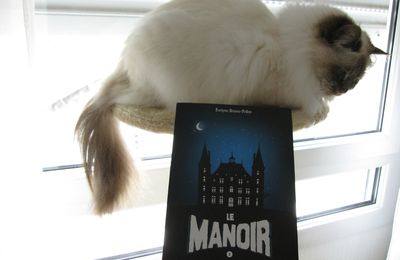 Le Manoir tome 1 : Liam et la carte d'éternité - Evelyne Brisou-Pellen
