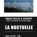 EXPOSITION PHOTOGRAPHIQUE "LA NOCTUELLE" D'EMILIE PILLOT 