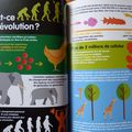 L'évolution illustrée