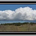 Bourgeonnement dans le ciel