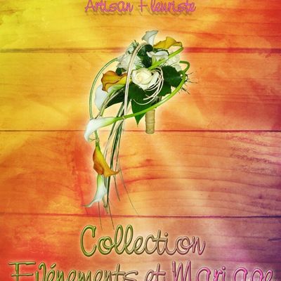 Nouvel album "Collections Evénements et Mariage"