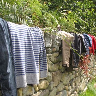 Au pays du mouton en folie. Tome2