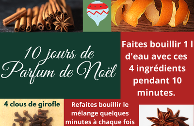 PARFUM DE NOEL NATUREL EN MOINS DE 2 MN