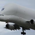 Aéroport-Toulouse-Blagnac : Airbus A300B4-608ST Super Transporter , Airbus Industrie , F-GSTF