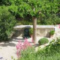 SAIGNON 399