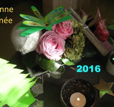 Meilleurs voeux du kempo Esdel club 2016