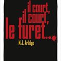 Il court, il court le furet de M.J. Arlidge