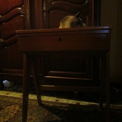 Sauvée de justesse...