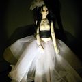 Lisanxia [spiritdoll Lotus]bjd