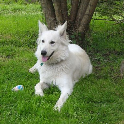 Après le jeu, REPOS!