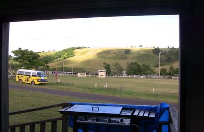 Showground blueberries