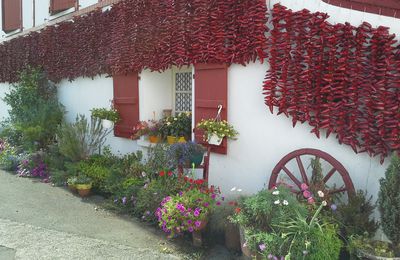 Les Landes et le Pays Basque