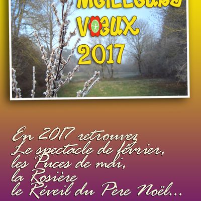 Meilleurs vœux à tous à Courpière en Auvergne !