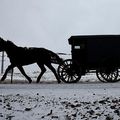 Amish Kitchen: Whirlwind cleaning precedes wedding