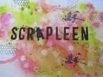 Bienvenue chez Scrapleen !