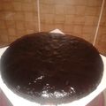 mon caKe au chocolat et mon moelleux au citron 