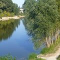 Loire, petits saules, vers le quai des Augustins