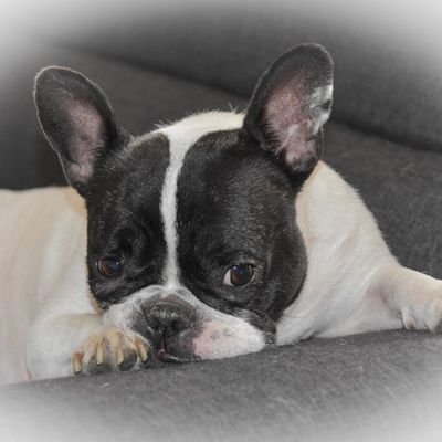 J'ai retrouvé Maman.