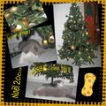 Notre sapin 2009