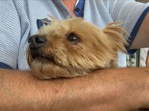 La trousse de beauté de  L U L U