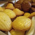 madeleines CoCo & Choco 