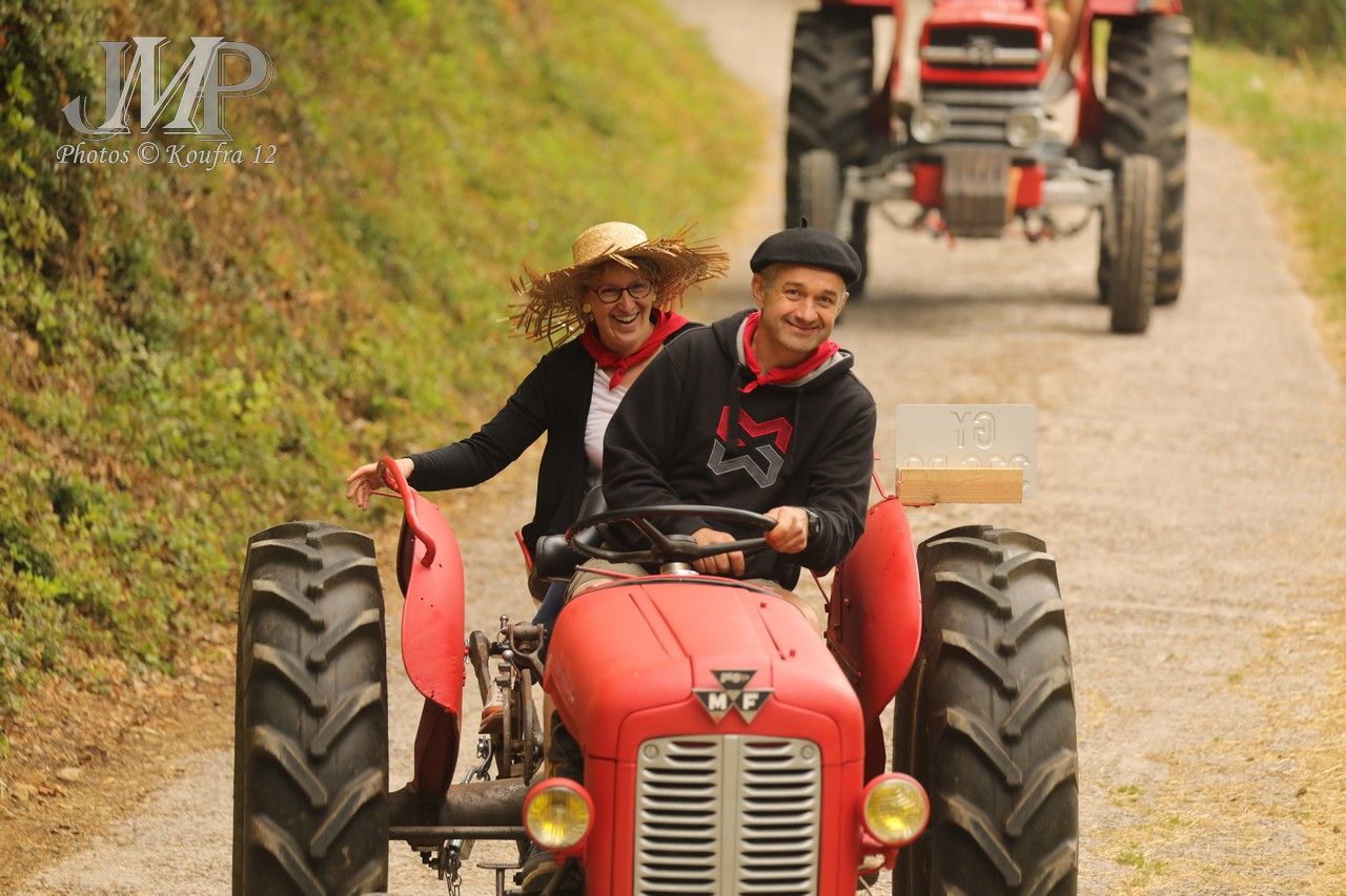025 - Massey Ferguson : 35 - 37 CV - cm² - années 1960 – 1965