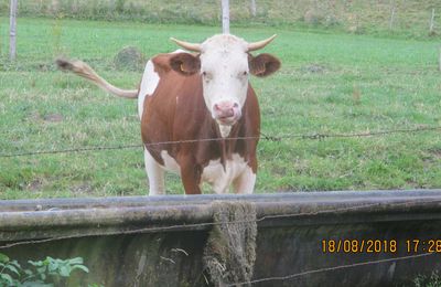 quelques photos du haut Doubs juste comme ça....bonne journée à vous♥