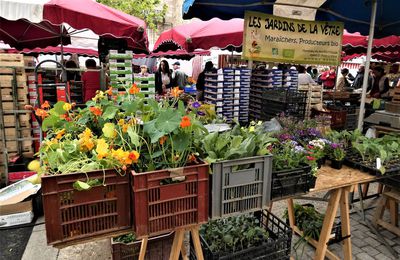 le plus beau marché  de France  Montbrison 42600 2019  le plus ancien  le plus grand  