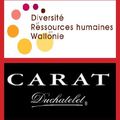 Evénement Diversité RH ce 27 mars au Curtius à Liège - Carat Duchatelet et le secteur de l'intérim se mobilisent !