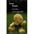 Les lits en diagonale, Anne Icart