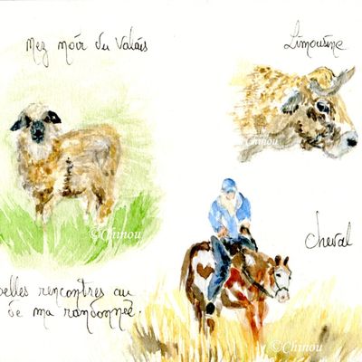 Novembre et décembre bien pauvres dans mon carnet de voyage.