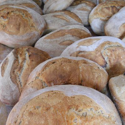 NOUS SERONS ABSENTS Du mardi 13 juin au jeudi 29