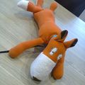 Leonardo, le renard apprivoisé...