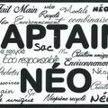 Boutiques insolites de création artisanale (1) Captain'Néo