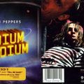 2006 - Red Hot Chili Peppers interprète "Wet Sand"
