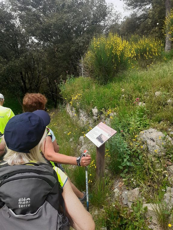 13km dans les collines de Flassans pour 13 sportifs 